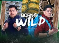 Born To Be Wild July 6 2025 Replay HD Episode