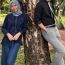 Di Sebalik Reda Episod 1 Tonton Free Online hd view